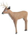 Bully Buck Deer Decoy