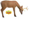 McKENZIE XTREME SERIES MEDIUM GRAZING DEER TARGET