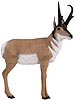 Delta Elite Antelope 3-D Archery Target for Hunters and Ornaments