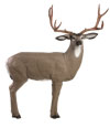 Delta Elite Mule Deer 3-D Archery Target - ( Replaceable Vital available ) - call 877.267.3877