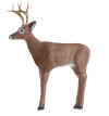Delta CRP Buck 3-D Archery Target for Deer Hunting and Ornaments - call 877.267.3877