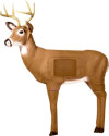 Delta Broadhead Buck 3-D Archery Target with "Encapsulated Layered Core" Vital for Deer Hunters and Ornaments - call 877.267.3877