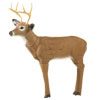 Delta Backyard Buck Legend 3-D Archery Target for Deer Hunting and Ornaments - call 877.267.3877