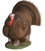 Delta T-Series Full Strut Turkey 3-D Archery Target 877.267.3877 - for Turkey Hunters and Ornaments
