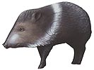 Delta Javelina 3-D ArcheryTarget for Hunters and Ornaments - call 877.267.3877