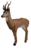 Delta Roe Deer 3-D Archery Target for Deer Hunting and Ornaments - call 877.267.3877