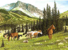 G'Cl'ee - "Wild Ones" by Wildlife Artist Larry Anderson