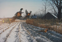 "Limit of Roosters III" by Larry Anderson