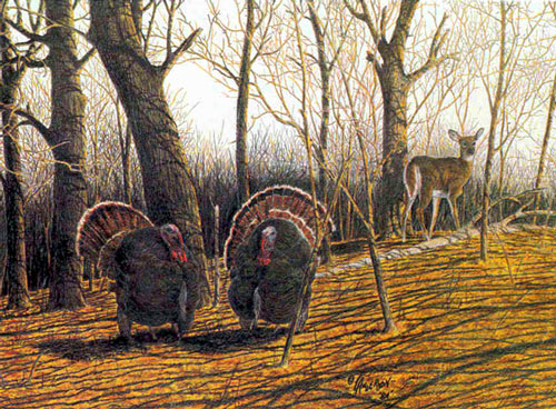 Larry Anderson Wildlife Art Turkey Wildlife Art Sandn Limited Edition