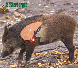 Hog Waterproof & Tear-Resistant Long Lasting Target by Master Targets