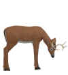 2013 McKenzie Pinnacle Medium Grazing Deer