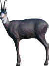 MCKENZIE EXOTIC SERIES CHAMOIS TARGET