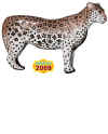 MCKENZIE XTREME SERIES AFRICAN LEOPARD TARGET