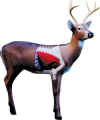 McKENZIE HUNTER EDUCATIONAL SERIES DEER TARGET