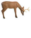 McKENZIE NATRA-LOOK MEDIUM GRAZING DEER TARGET