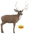 McKENZIE XTREME SERIES MULE DEER TARGET