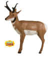 McKENZIE XTREME SERIES PRONGHORN ANTELOPE TARGET