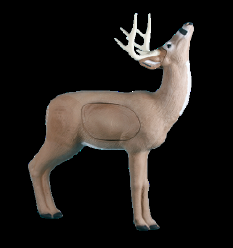 2015-competition-deer-Rinehart-browsing-buck-129-large.png (136071 bytes)