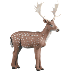 2015 Competition Deer Rinehart Fallow