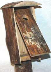Rustic Bird House - Chickadee Nest Box Open