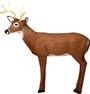 Delta Backyard Buck Legend