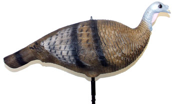 Delta Supreme Collapsible Hot Hen Decoy for Turkey Hunters