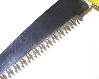 Close-Up of Teeth of the Florian 7" Folding Saw by American Standard Company for Turkey Hunters and All Hunters and Gardners