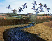 "Fall Flight" by Larry Anderson