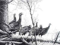 "Forest Flock" by Larry Anderson