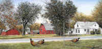 "Larson Farm Pheasants" by Larry Anderson