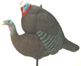 Delta Breeding Tom and Hot Hen Decoys