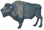 Delta T-Series Rutting Buffalo 3-D ArcheryTarget for Hunters and Ornaments - call 877.267.3877