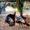 Real Turkeys  IV - CD by Dr. Lovett E. Williams, Jr. for All Turkey Hunters and Outdoorsman
