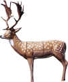 MCKENZIE EXOTIC SERIES FALLOW DEER TARGET