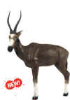 MCKENZIE XTREME SERIES AFRICAN BLESBOK TARGET