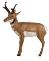 McKENZIE NATRA LOOK PRONGHORN ANTELOPE TARGET