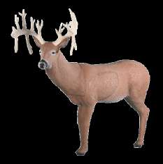 2015 Competition Deer Rinehart 30 Point Buck
