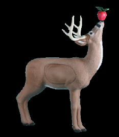 2015 Competition Deer Rinehart Apple / Browsing Buck