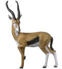 Rinehart Gazelle Target