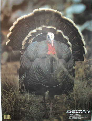 Delta Tru-Life Full Strut Turkey Target