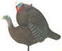 Delta Supreme Breeding Tom Collapsible Turkey Decoy In Action